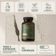 Beyond Alpha Botanical Support Formula package image 3